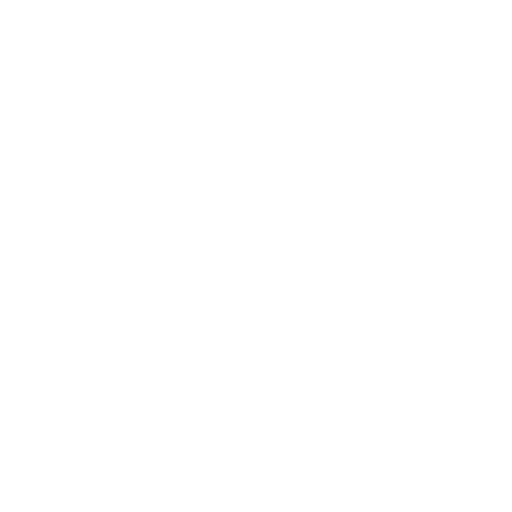 BAC Consulting